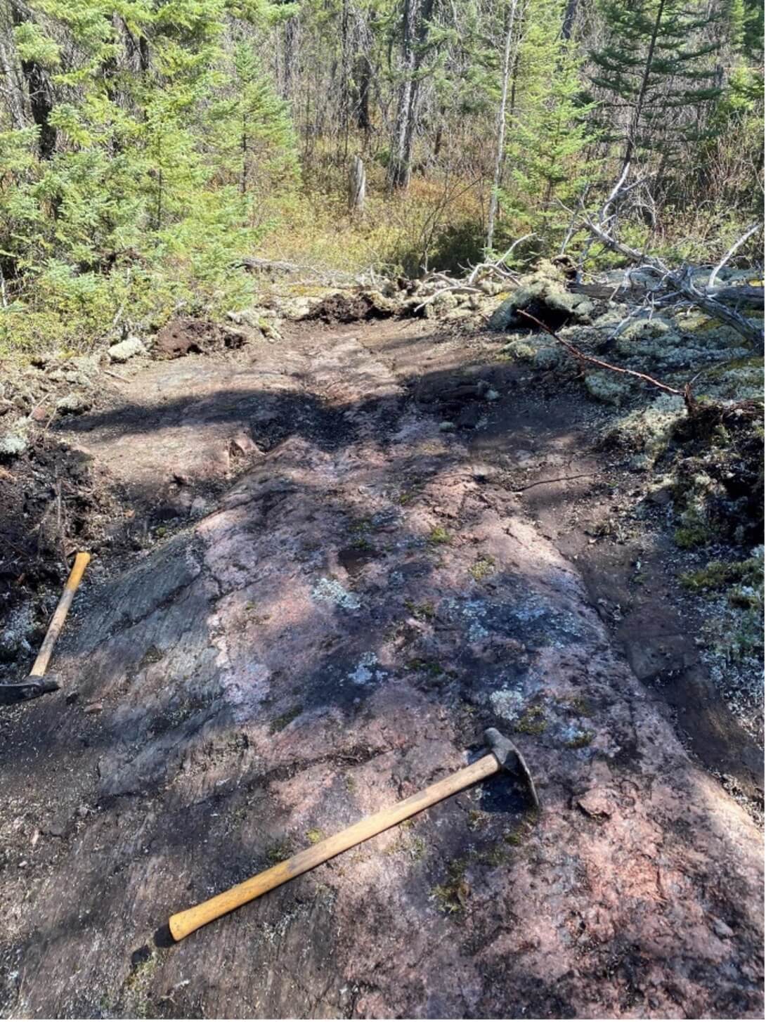 Figure 2: Pegmatite outcrop exposed under heavy overburden
